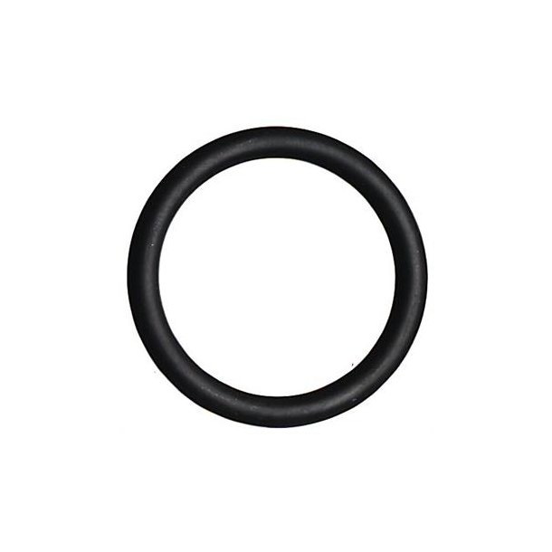 o-ring 18,3 mm indv.